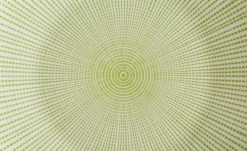 for friends Speiseteller grün Juna | Grün 26|cm 11 for friends Speiseteller grün Juna | Grün 26|cm -Geschirr Verkaufsladen 528132 2 201811271507